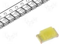 19-213/T1D-KS1T1B2/3T
