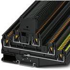 3002604