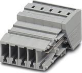 3042531