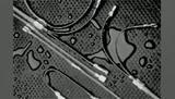 952651-000