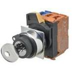 A22NK-2RM-01BA-G100