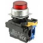 A22NLRPMTRAG100RC