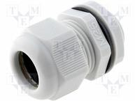 AG-25GY1