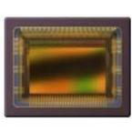 CMV2000-3E12M1PP