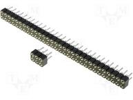 DS1002-01-2*4V13