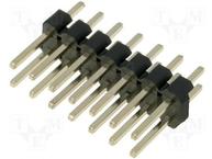 DS1021-2*7SF11