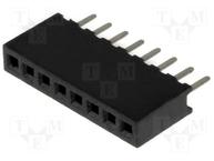 DS1065-01-1*8S8BV