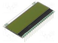 EA DOGM081L-A