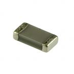 ECJ3YB1C106M