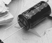ESMG160ELL103MMP1S