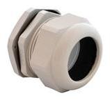 IPG-22242-G