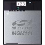 MGM111A256V1R