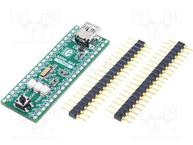 MINI-M4 FOR STM32