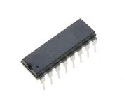 ML2021CP
