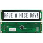 NHD-0116GZ-FSW-FBW