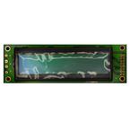 NHD-0220D3Z-FL-GBW