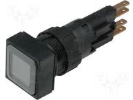 Q18LT-WS/WB