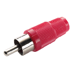 RCP-013