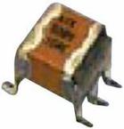 RM045C306KAJ480