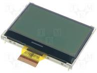 RX12864A1-GHW