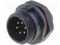 SP1312/P6