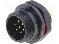 SP1312/P7