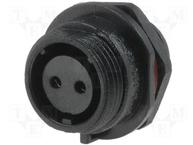 SP1312/S2