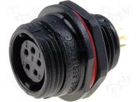 SP1312/S5