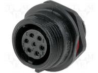 SP1312/S7