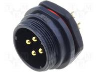 SP2112/P4