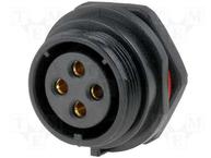 SP2112/S4