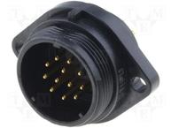 SP2113/P12