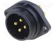SP2113/P4