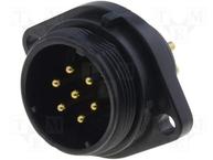 SP2113/P7