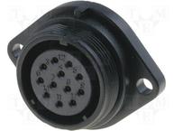 SP2113/S12