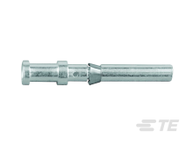 T2020002010-000